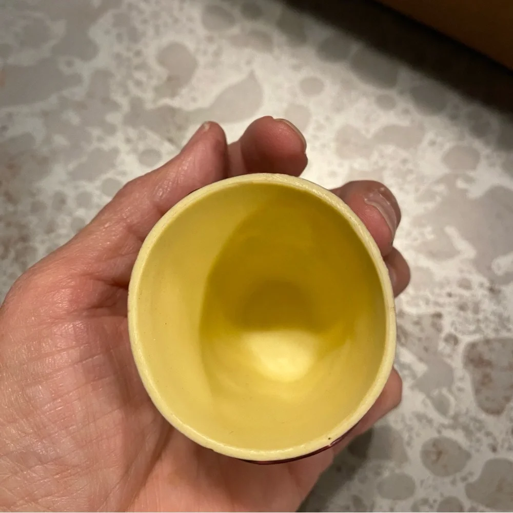 Skull-Shot Glass Plastic Collectors Cup